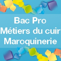 Bac Pro Métiers du Cuir option Maroquinerie : Admission, Formation et Débouchés