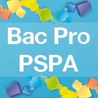 Bac Pro Pilotage de Systèmes de Production Automatisée - Admission, Formation, Débouchés