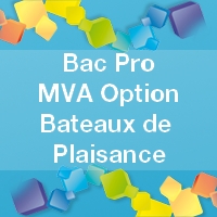 Bac Pro Maintenance de véhicules automobiles - Option bateaux de plaisance : Accession - Enseignements - Débouchés